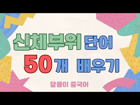 중국어  신체 부위  단어 50개 배우기