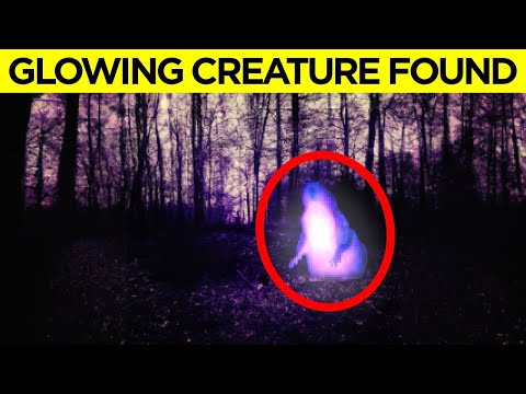 When The Most Amazing Discoveries Happened By Accident