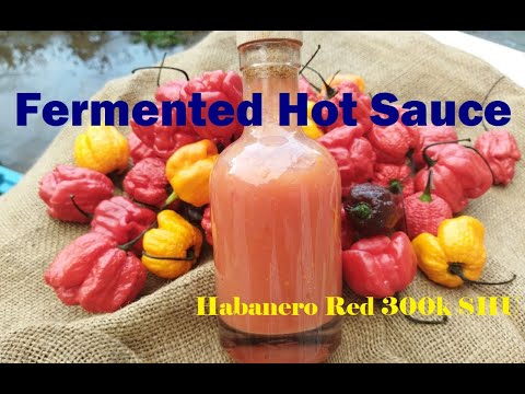 Соус из ферментированных перцев / Fermented Hot Sauce