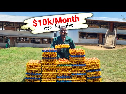 From ZERO to $10,000 per Month: My Poultry Farming Masterclass