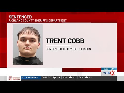 19-year-old pleads guilty to 2023 crash that killed passenger in his car