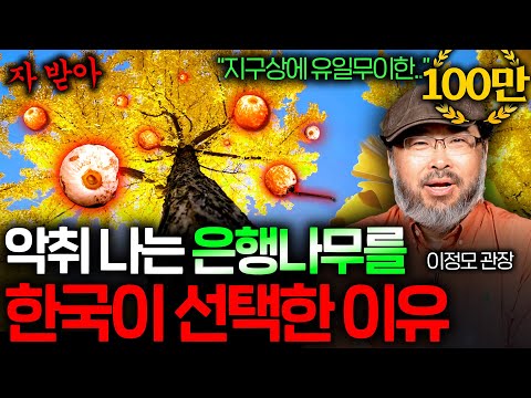 Why did the ginkgo tree survive only in East Asia? (A living fossil...) | Science Week EP.43