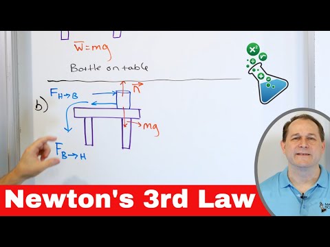 What is Newton's Third Law of Motion in Physics?