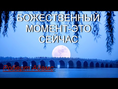 Божественный момент-это СЕЙЧАС [Р.Адамс, озв. Никошо]