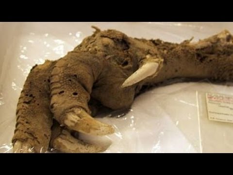 The 7 Scariest Archaeological Discoveries
