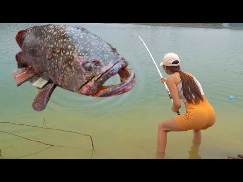 137公斤龍躉上岸嚇壞魚塘老闆！美女專業代釣百斤大魚，1888個震驚菜場【女钓友微微】