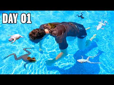 I Built a Wildlife Pond, here’s what showed up (2 year experiment)