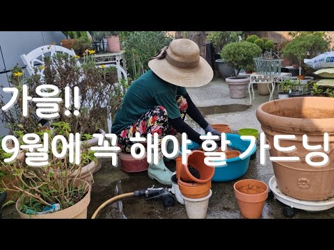 가을,9월에 꼭 해야할 가드닝,봄을 위한 씨앗뿌리기,사랑초 심기 ,친환경 유기농으로 해충과 균을 제거는 토탈싹으로.