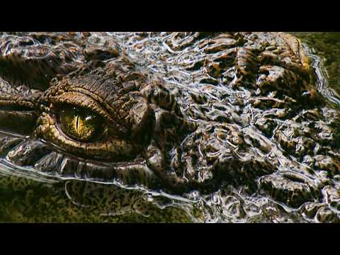 Le monstre du Lac Tanganyika