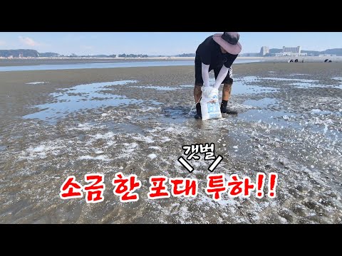 Would sprinkling a bag of salt on a mudflat bring out a frenzy of clams? I tried it myself! / Jin...