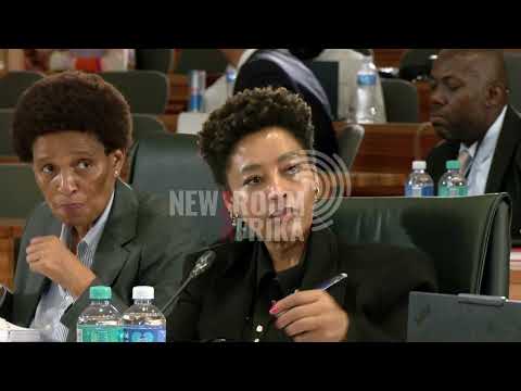 'State was not absolved from protecting Witness D'