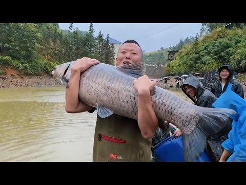 花16万包下一个30亩大鱼塘，听塘主说有三四万斤鱼？一起看看有什么大货！#捕鱼#户外#抓鱼