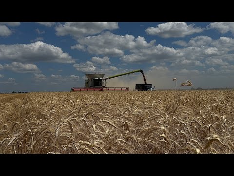 Привезли на демонстрацію комбайн CLAAS Lexion 8800 Terra