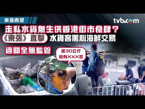 東張西望｜走私水貨魚生供香港街市食肆？ 《東張》直擊水貨客黑心海鮮交易