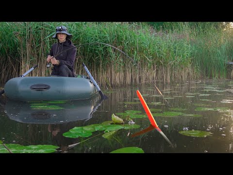 Рыбачу в СТАРОМ КАМЫШЕ, тут клюют НЕПОДЪЕМНЫЕ караси!