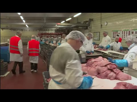 Le jambon, enquête sur la phase inquiétante de sa fabrication