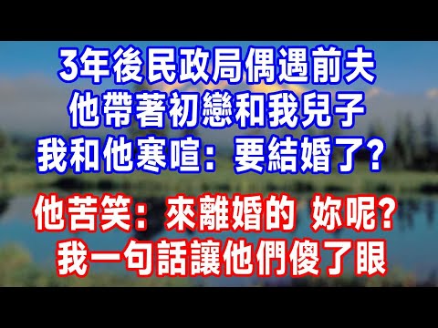 3年後民政局偶遇前夫，他帶著初戀和我兒子，我和他寒喧：「要結婚了？」他苦笑道：「來離婚的，妳呢？」我一句話讓他們傻了眼。#人生感悟 #故事分享 #故事頻道 #生活經驗 #打脸