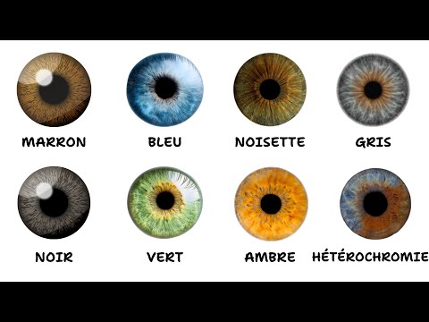 Chaque Couleur d’Œil et Ses Avantages Cachés Expliqués en 13 Minutes