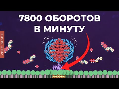 Биохимия фотосинтеза: #3. АТФ-синтаза [Clockwork]