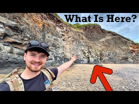Remote Beach SOLO Fossil Hunt | MASSIVE Haul & Incredible Nautilus Find!