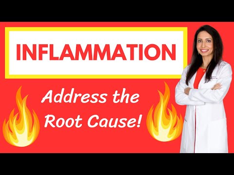 Dr. Rajsree's Guide to INFLAMMATION: Root Causes, Consequences, and Natural Treatments
