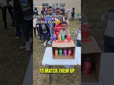 Can You Guess The Item In The Box?