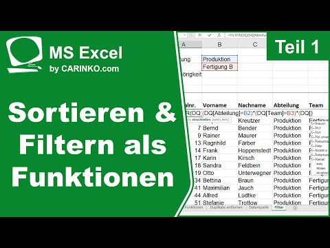 MS Excel Functions: Sorting and Filtering: Querying Made Easy | Part 1 - carinko.com
