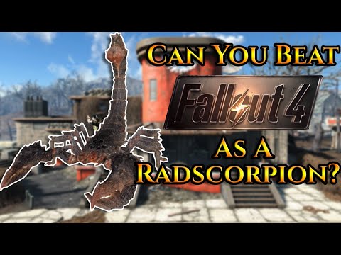 Can You Beat Fallout 4 As A Radscorpion?