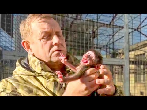 Never happened before and HERE IT IS AGAIN! The mother flatly REFUSES TO FEED little Nicole!!!