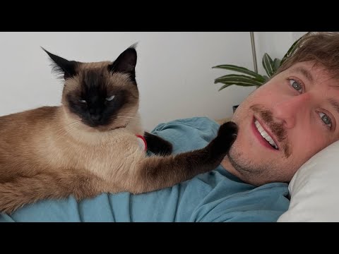 Why Everyone Is Talking About This Cat and His Human !!