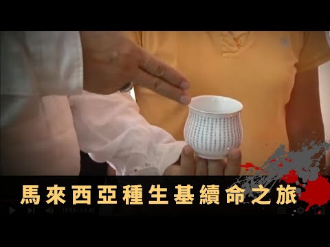 龔如心巨資種生基揭秘 馬來西亞種生基續命之旅 封魂法事逃避陰差索命 - TVB詭異檔案 鬼故事 在線重溫 ep10上丨司徒法正 梁嘉琪 周家蔚 喬寶寶 司徒健富