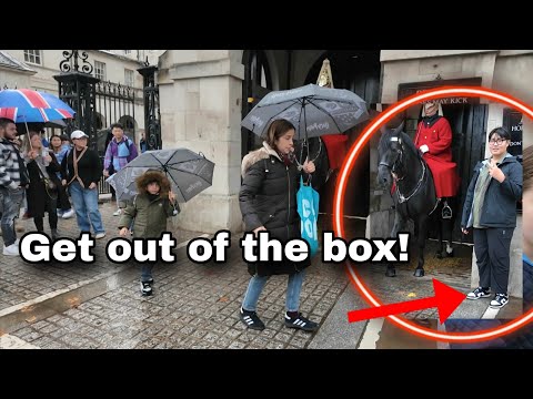 WATCH: King's Guard perfect response to tourists breaking all the rules!