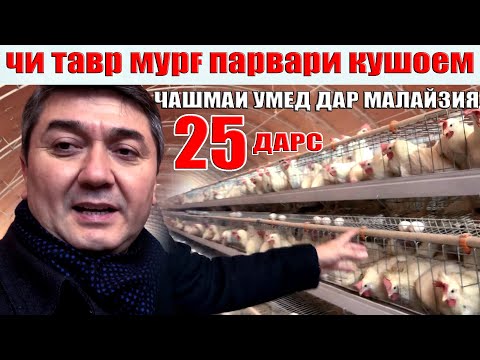 ЧАШМАИ УМЕД-25. Саидмурод Давлатов. Диловар Сафаров  Dfilm.tj Dilovar Safarov