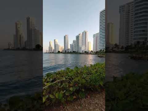 Una tarde tranquila ✨️🌊 Paisaje grabado por el creador #pazinteror #shortvideo #relax #mar #shorts