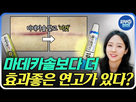 [Eng] Must-Have Pharmacy Ointments Recommended by a Dermatologist!