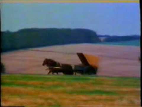 Jack Hargreaves ~ Cape cart