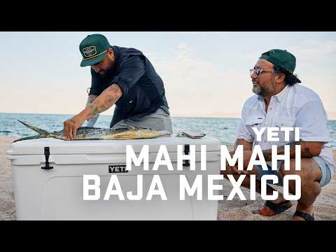 Two Mexican Chefs Fish & Cook Mahi Mahi in Baja California Sur