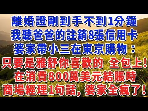 離婚證拿到手不到1分鐘，我聽爸爸的註銷8張信用卡，婆家帶小三在東京購物：只要是雅舒你喜歡的 全包上！在消費800萬美元結賬時，商場經理1句話，婆家全瘋了！#小娟講故事 #情感故事 #老年生活