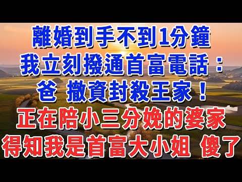 離婚到手不到1分鐘，我立刻撥通首富電話：爸 撤資封殺王家！正在陪小三分娩的婆家，得知我是首富大小姐 傻眼了！#妮妮故事會 #情感故事 #老年生活
