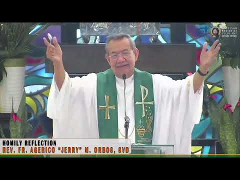 𝗬𝗼𝘂 𝗗𝗢𝗡'𝗧 𝗵𝗮𝘃𝗲 𝘁𝗼 𝗙𝗜𝗚𝗛𝗧 𝗬𝗢𝗨𝗥 𝗕𝗔𝗧𝗧𝗟𝗘𝗦 𝗔𝗟𝗢𝗡𝗘 | Homily 30 June 2024 with Fr. Jerry Orbos, SVD