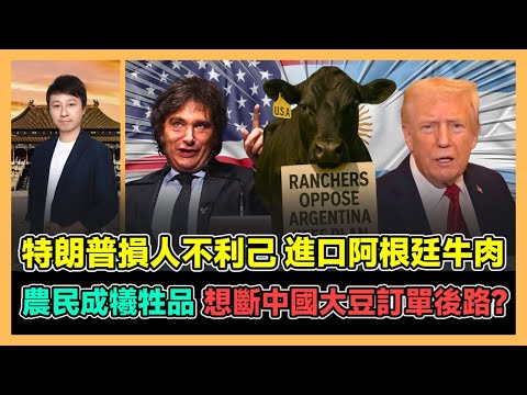 特朗普損人不利己 進口阿根廷牛肉 農民成犧牲品 想斷中國大豆訂單後路? | 香港抓捕裝修黑工 入境處連查兩日 業主成最大冤大頭 罰款案底工程爛尾! / 香港青年 大眼 小明