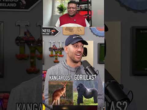 Animals with the Hardest Punch😅