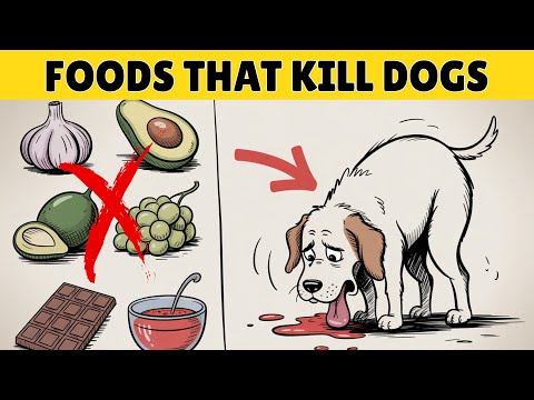 22 Common Foods That Will Kill Your Dog | Never Feed These!