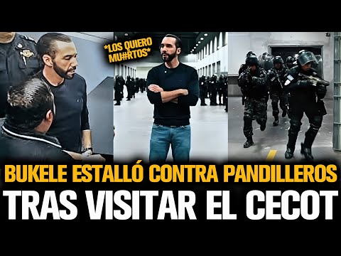 BUKELE ESTALLÓ CONTRA PANDILLEROS TRAS VISTAR EL CECOT