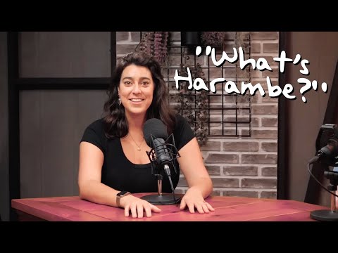 amanda lehan-canto: chronically offline