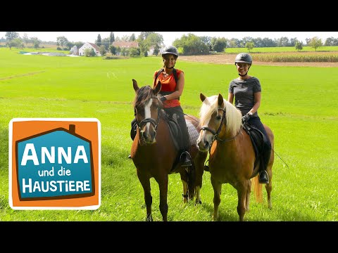 Anna lernt Reiten #3 | Der erste Ausritt | Anna und die Haustiere