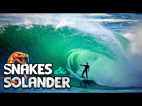 Snakes & Solander