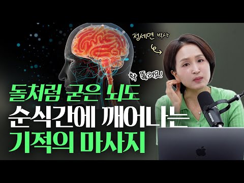 [월간식치 마감] 귓볼 주름 없애는 법 l 정세연의 라이프 연구소
