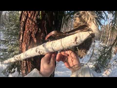 Добыли Соболя, поставили капкан на Волка 🐺