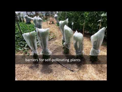 Webinar: Isolation Techniques